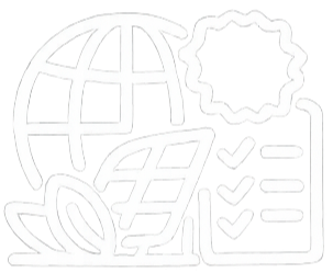 ISO-LEDELSESSYSTEMER